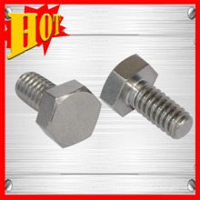 Gr1 Mini Titanium Bolt and Titanium Screw for Moto